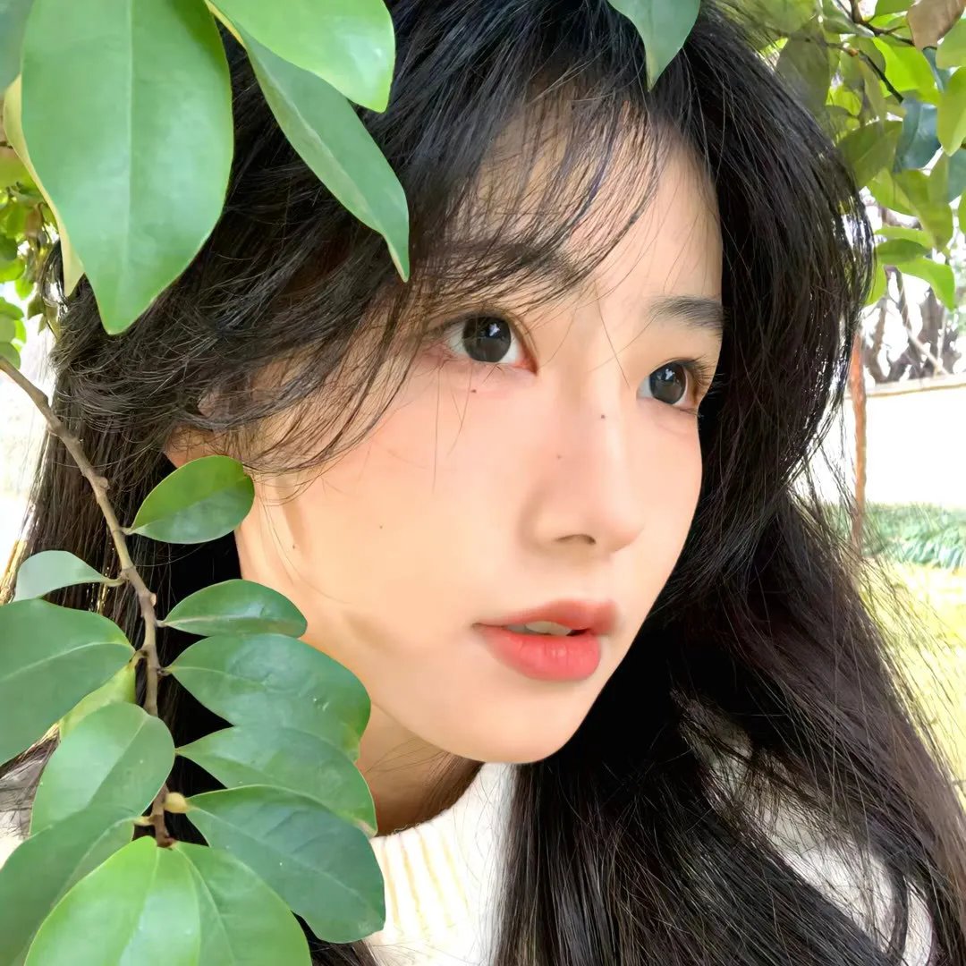 危险情人